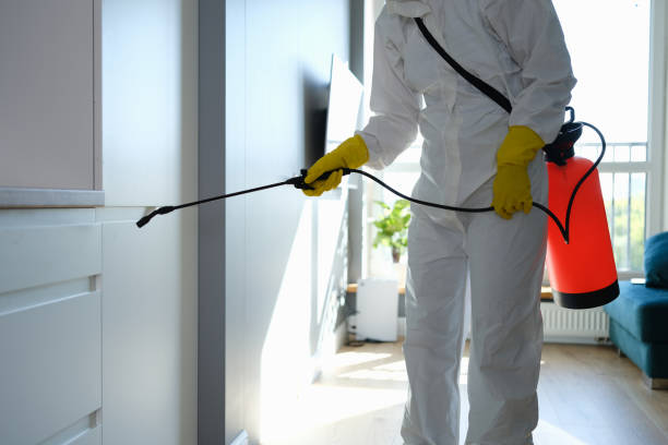 Best Residential Mold Remediation in Chinle, AZ