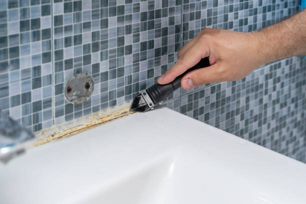Best Mold Remediation for Schools in Chinle, AZ